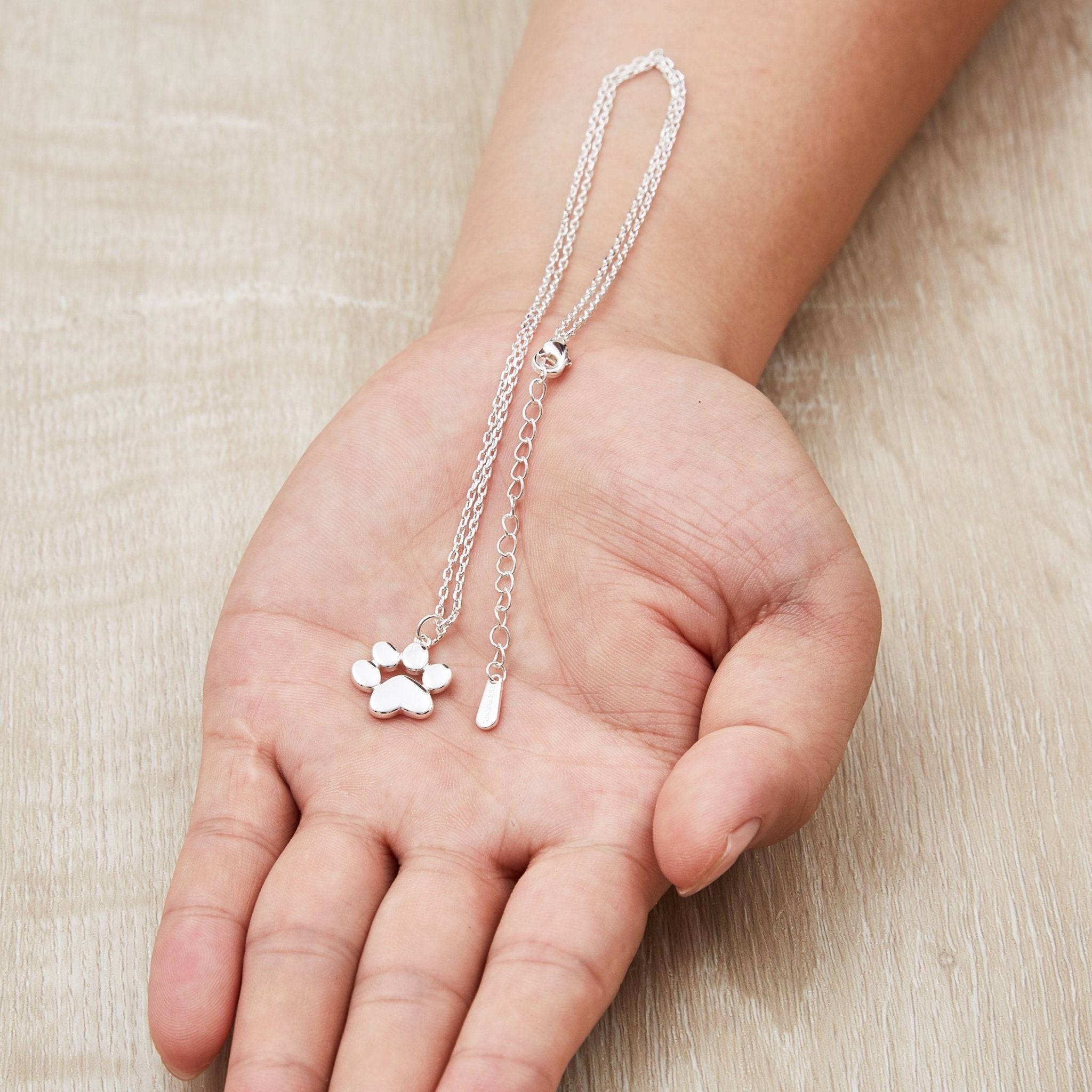 Silver Plated Dog Paw Necklace