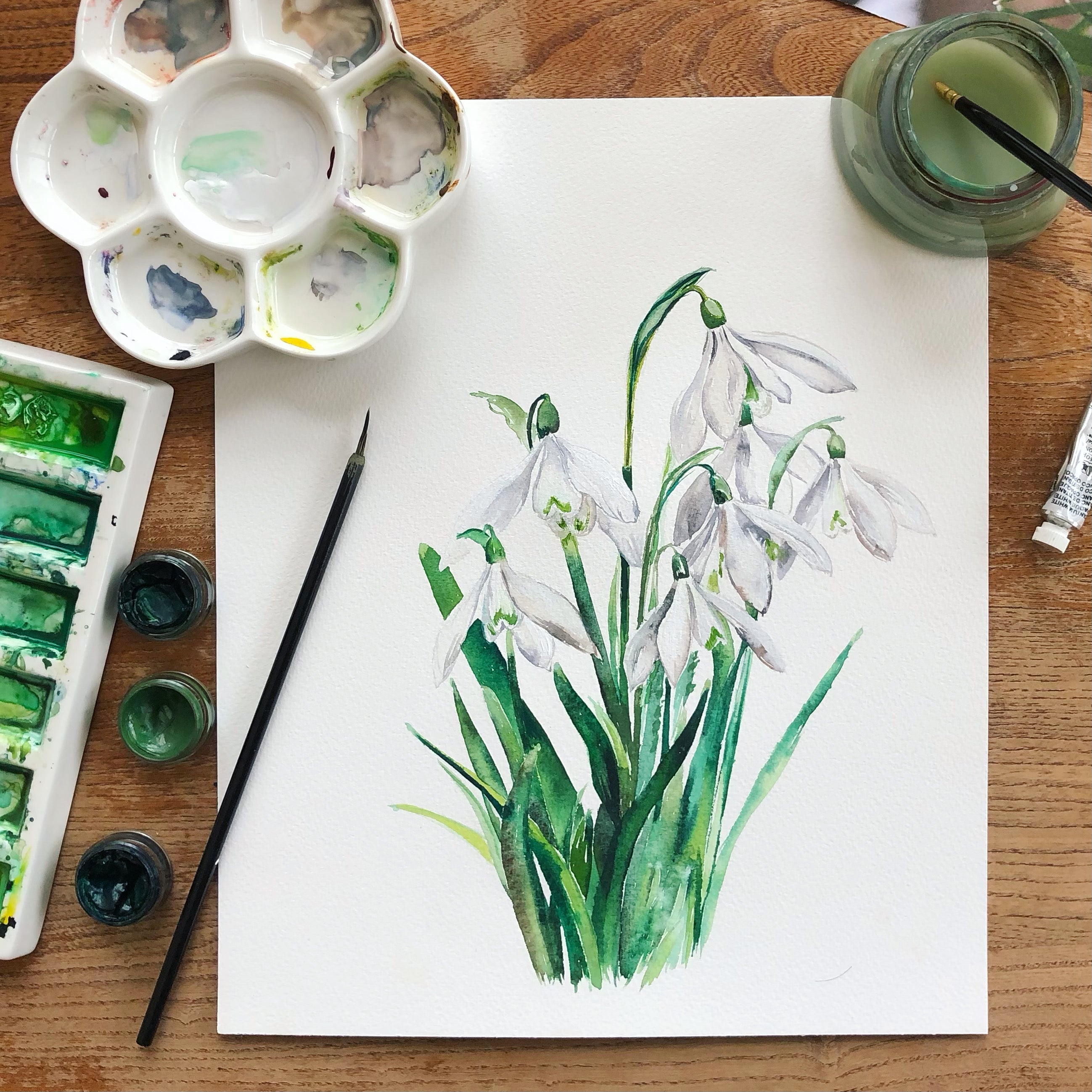 Snowdrop - January Birth Flower - Watercolour Fine Art Print