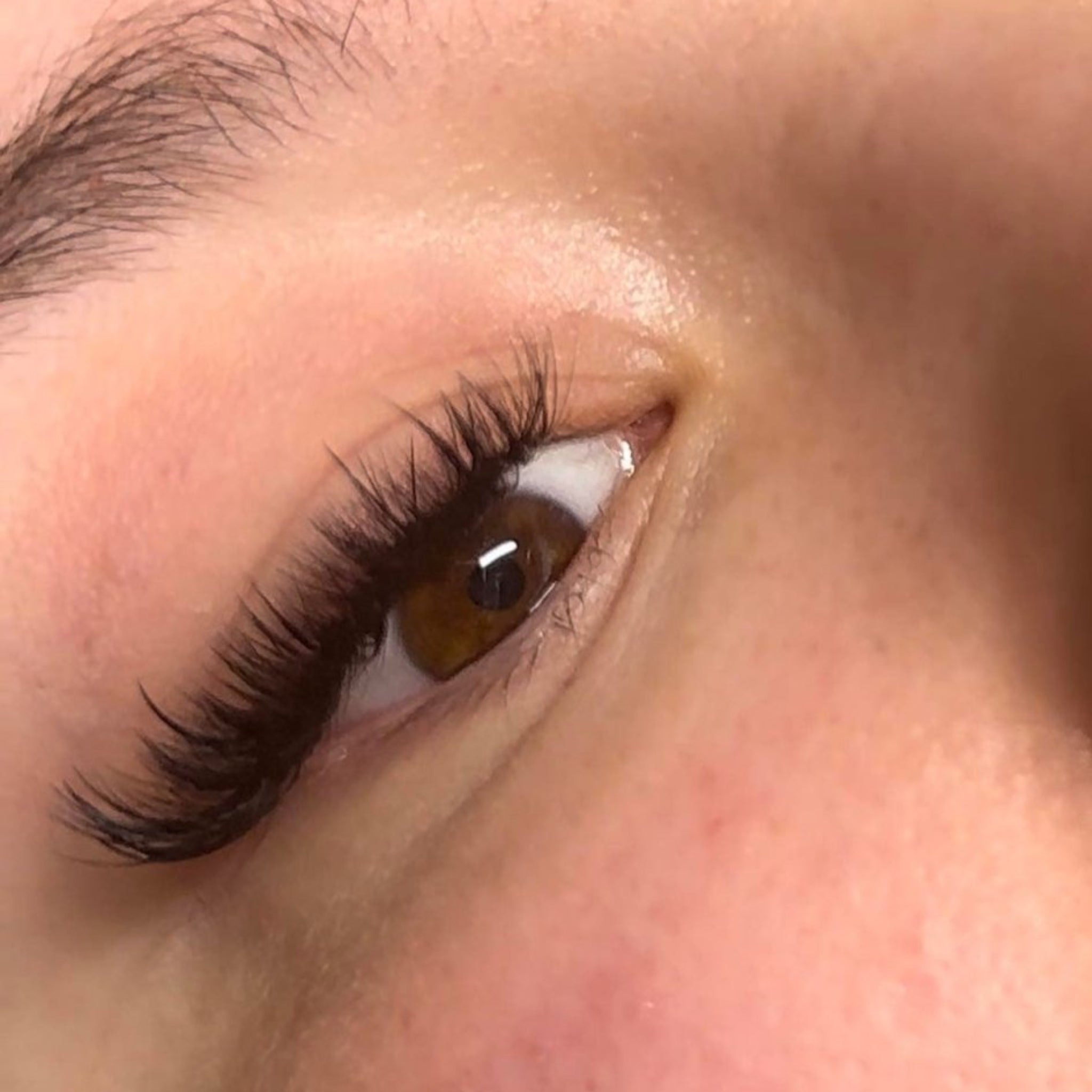 Wet Look Lash Mixed Tray