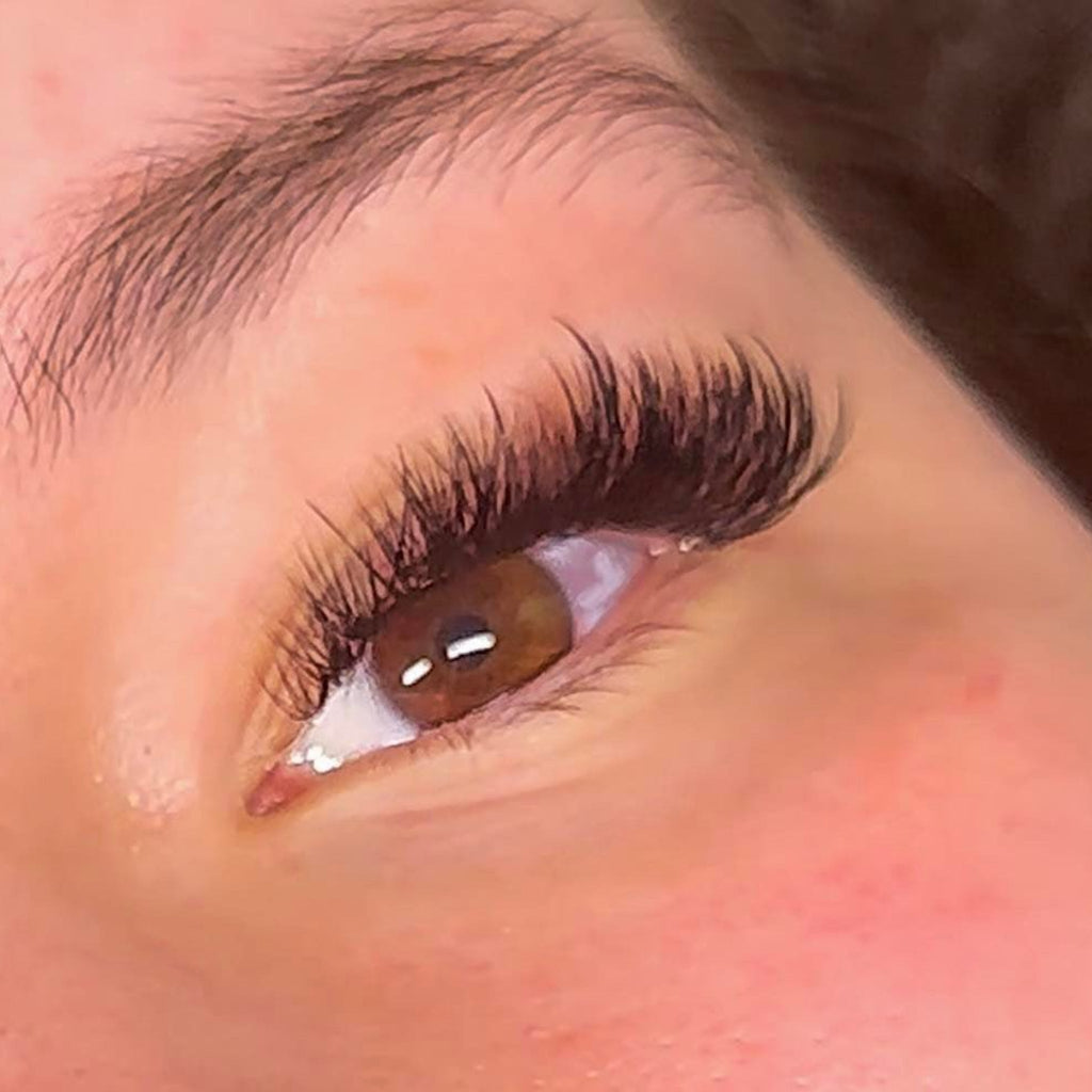 Sample Wet Lash Tray