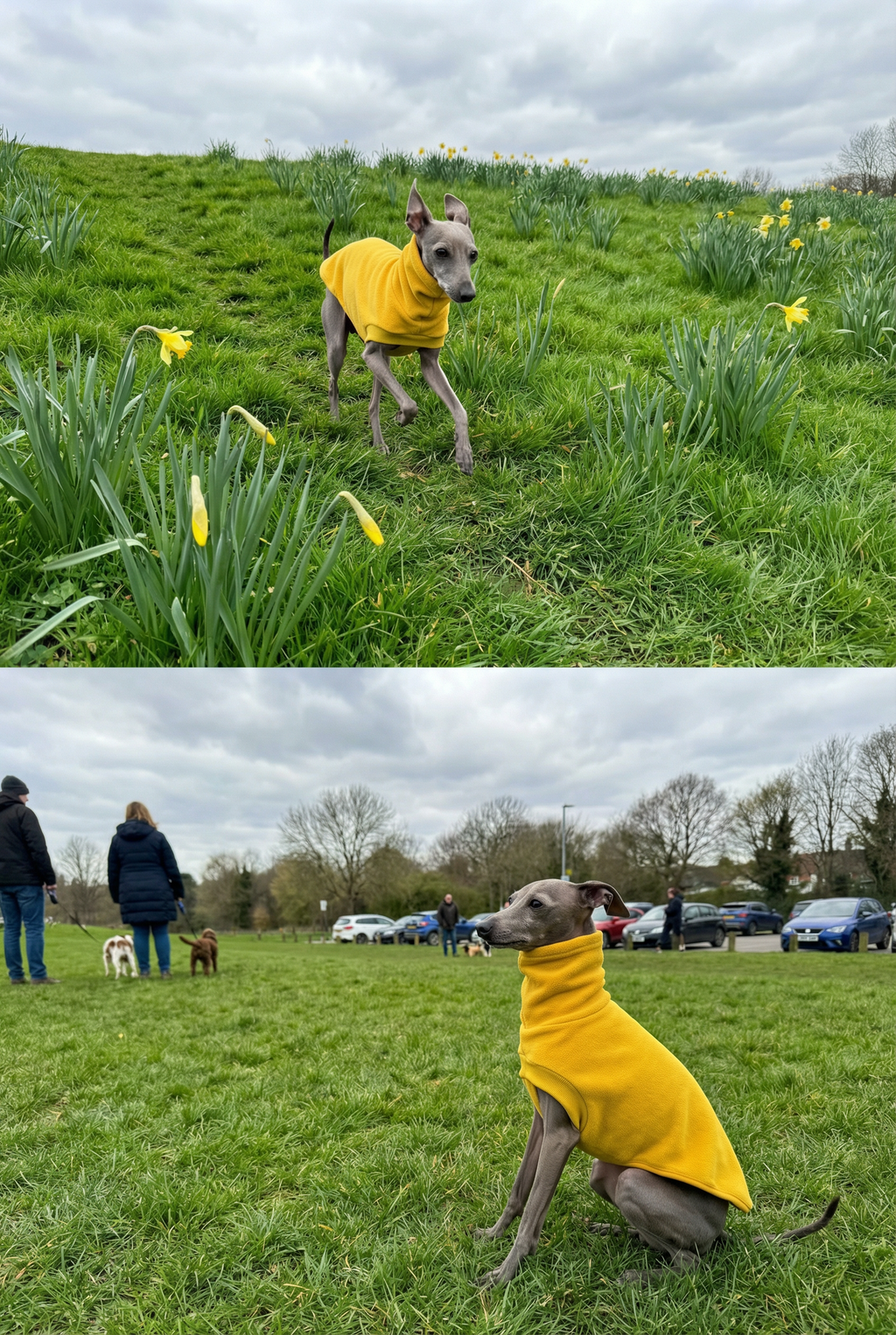 Open-Leg Fleece Vest - Yellow